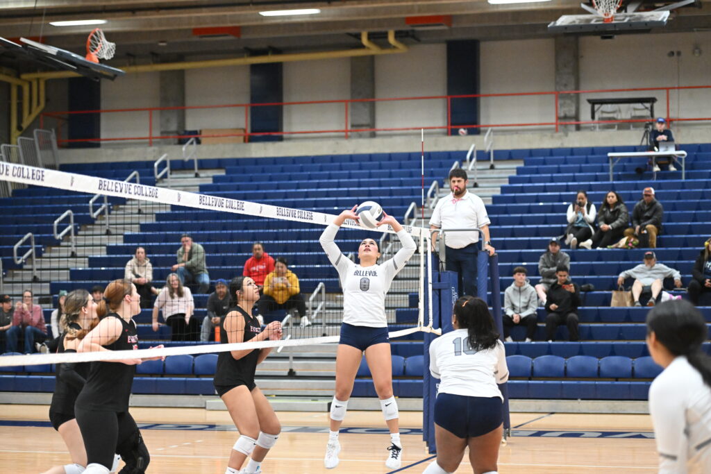 volleyball player