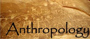 Anthropology Banner