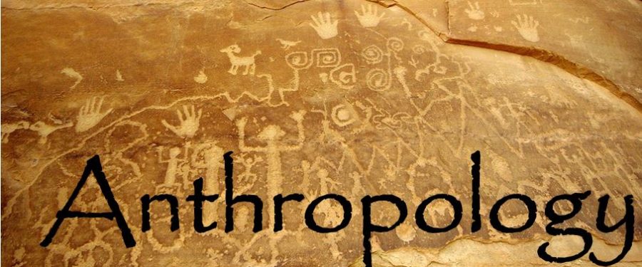 Anthropology Banner