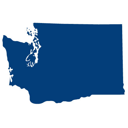 Washington state blue graphic