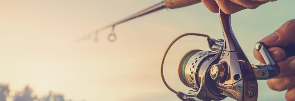 Fishing rod with skyline