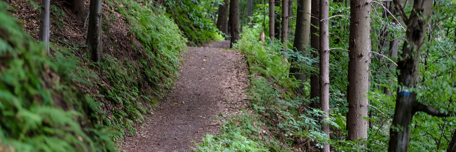 King County Backcountry Trails