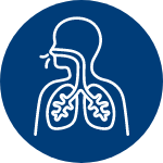 Human profile breathing using lungs