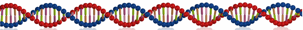 horizontal string of DNA