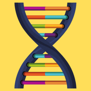 illustration of DNA