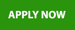 Apply Now button