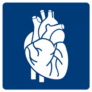 Heart Icon