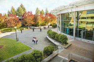 Bellevue College Awarded $300,000 Grant to Help Address Sexual Violence
