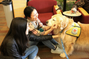 Therapy dog with students.