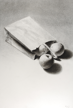 Art 120, Bag with Fruit, Charcoal on Paper