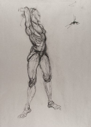 Art 121, Structure Study of the Human figure, Charcoal on Paper