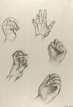 Art 121, 5 different views of the hand. From opened handed to closed fist