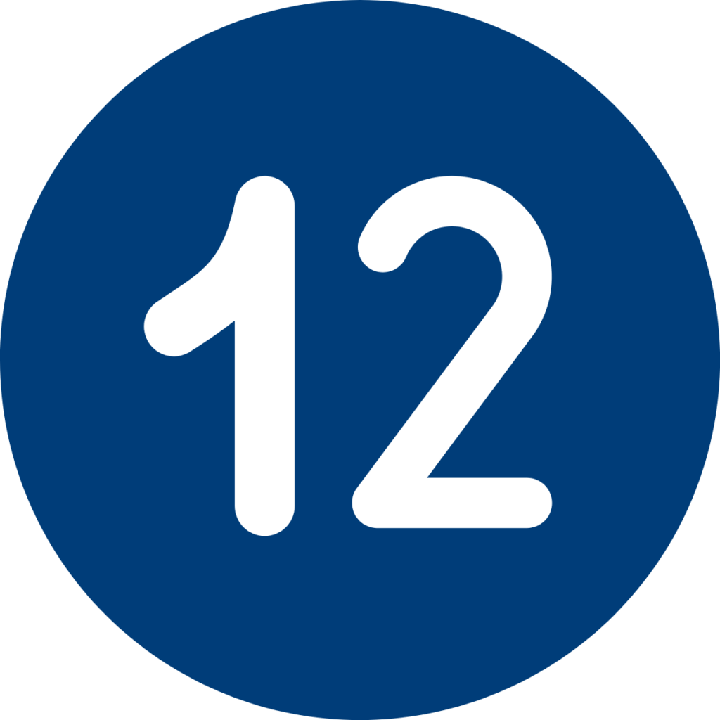 the number 12