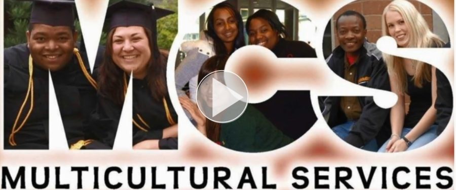 Multicultural Services - Links to video