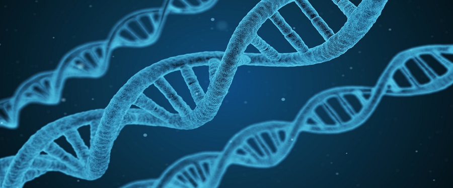 DNA Picture