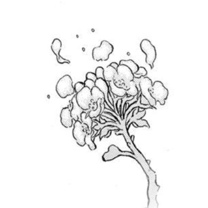 ink drawing of small flower bouquet
