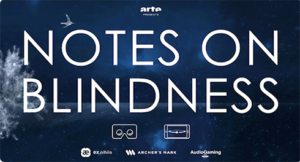 Note on Blindness VR expereince