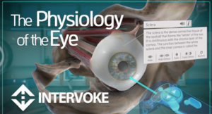 The Physiology of the Eye experience